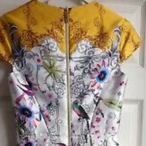 Ted baker dress 4 US 10